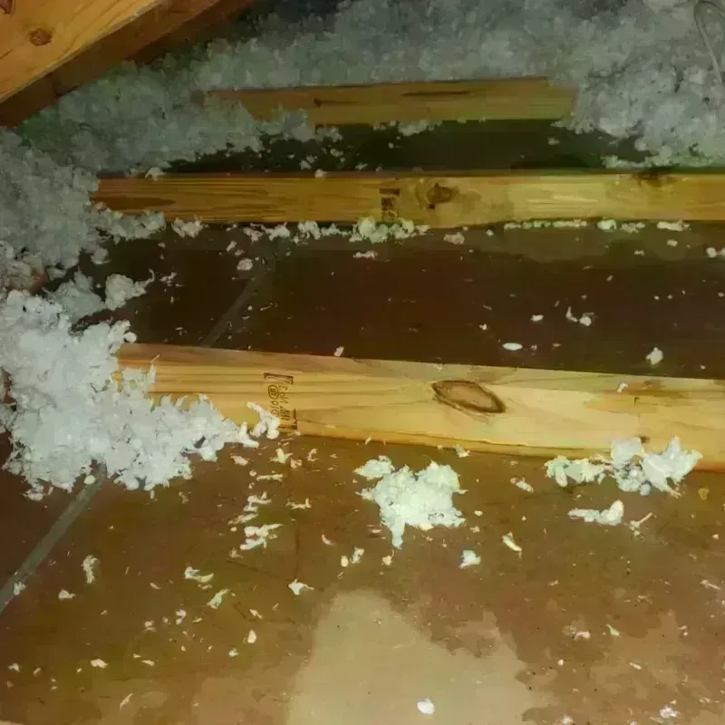 Attic Water Damage in Sauk Rapids, MN